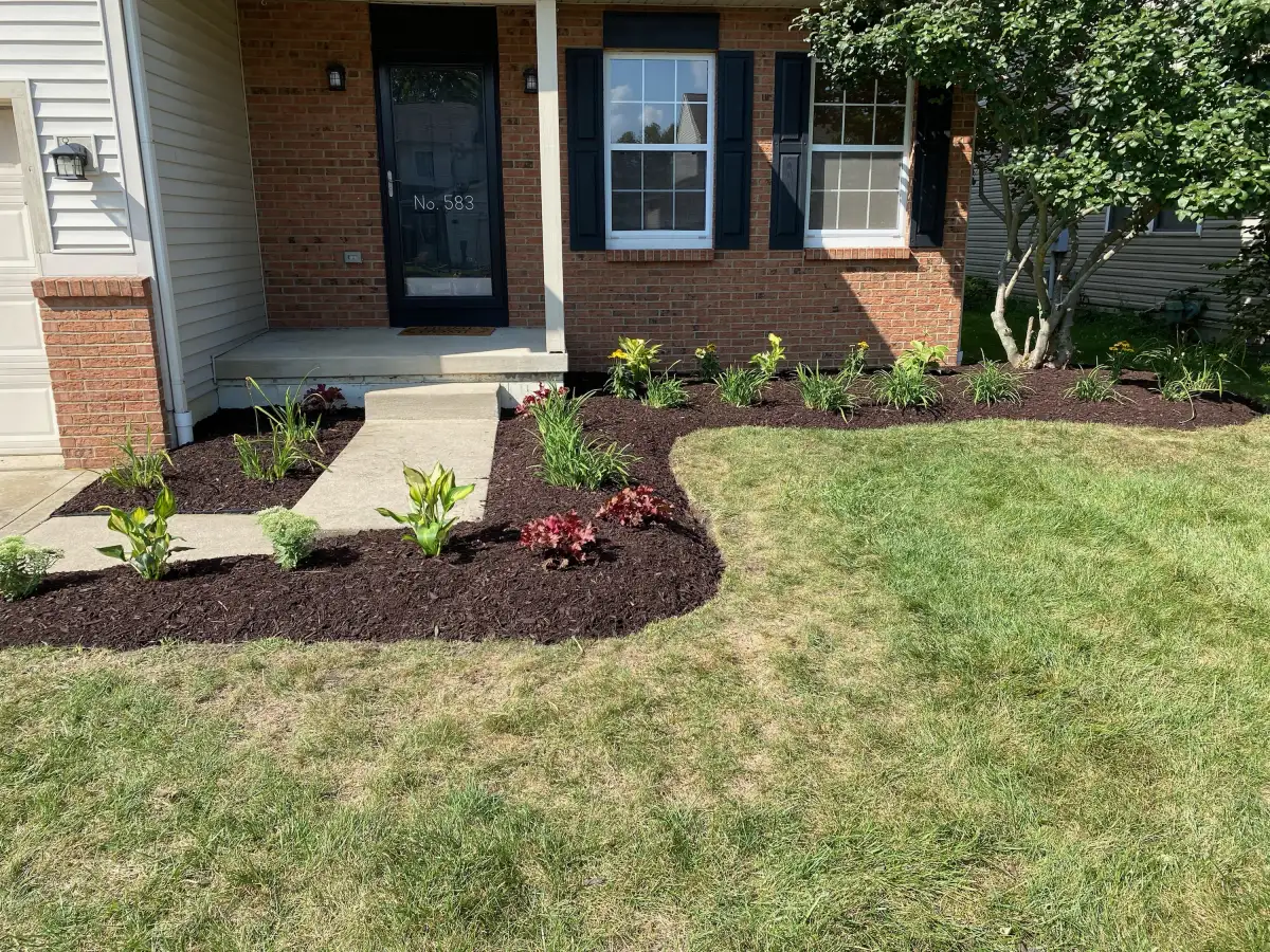 Completed landscape design featuring shrubs, perennials, and edging along a residential walkway