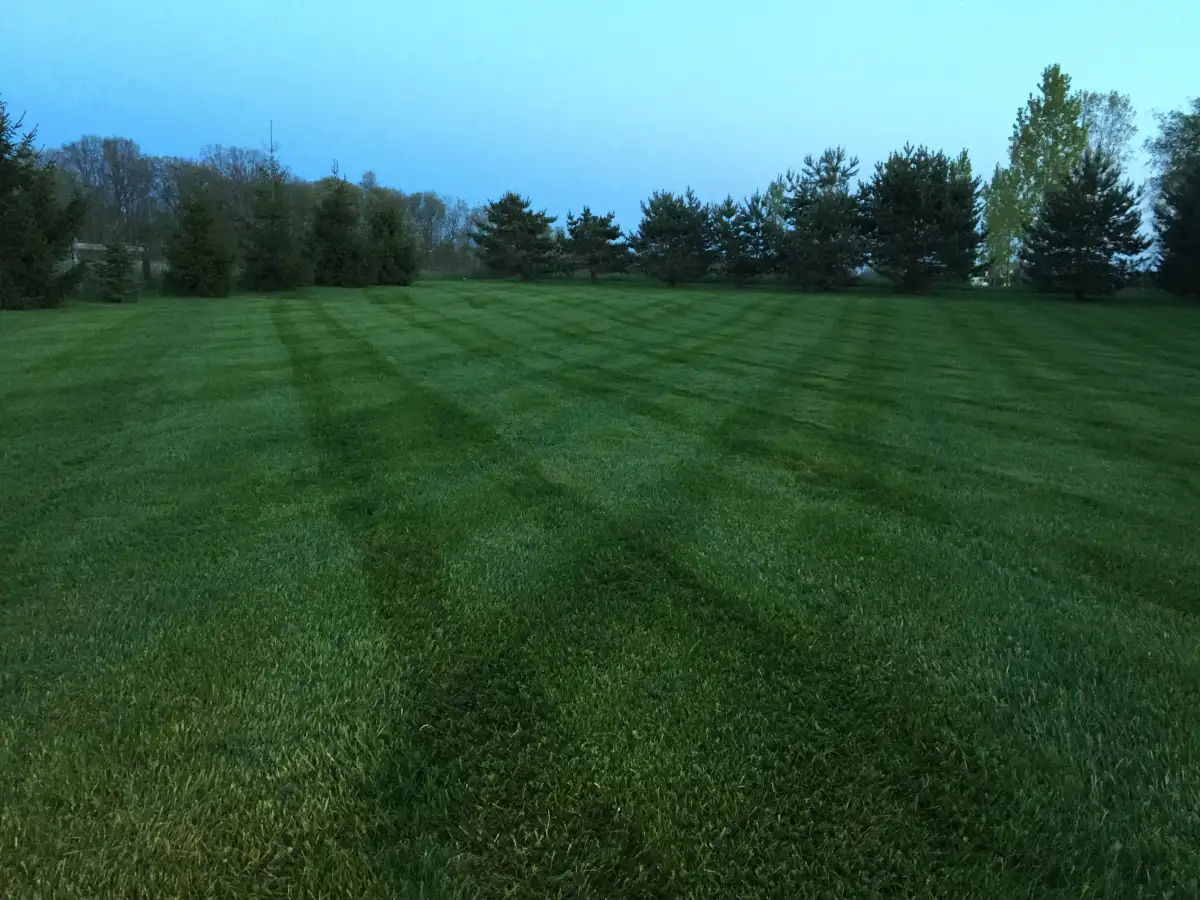 Professionally mowed and edged residential lawn in Marysville, Ohio