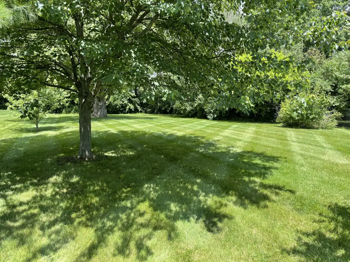 Large residential lawn freshly mowed by Raileys Services in Marysville, Ohio