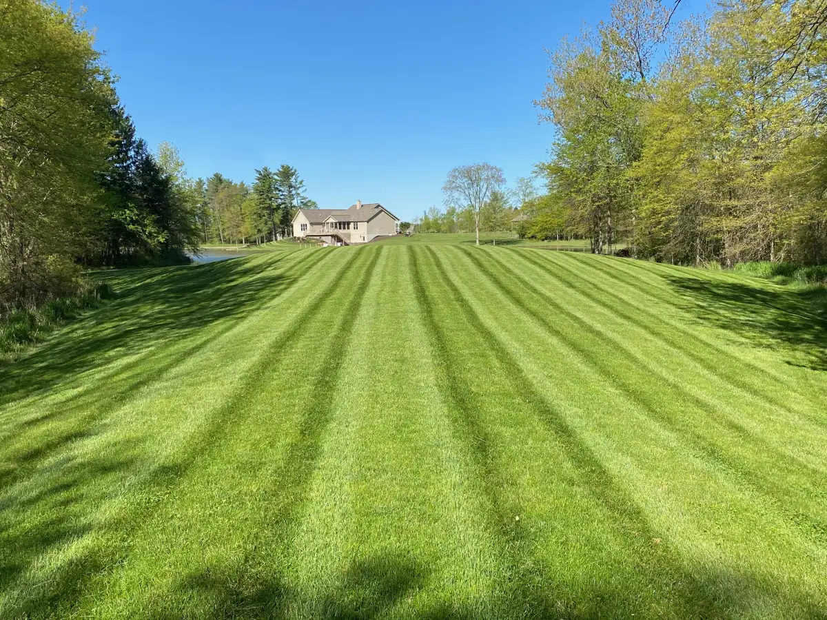 Well-maintained residential property in Marysville showing the results of consistent year-round landscape care